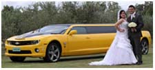 Camaro Wedding Limousine Hire Perth with the Bumblebee Transformer Muscle Car Limousine. Wedding Ribbon with decoration for Bride and Groom in Caversham House, Swan Valley